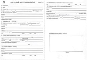 Адресный листок прибытия граждан при регистрации в Федеральной миграционной службе. Форма N 2