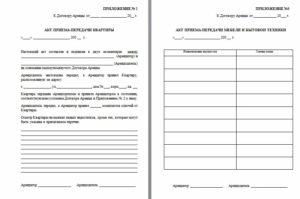 Акт передачи жилого помещения арендатору (приложение к договору аренды жилого помещения)