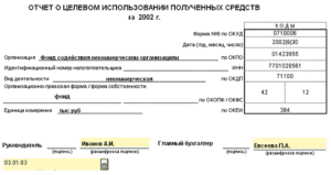 Отчет о целевом использовании полученных средств. Форма N 6