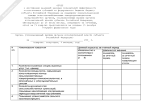 Отчет о достижении значений целевых показателей эффективности использования субсидий по субъекту Российской Федерации