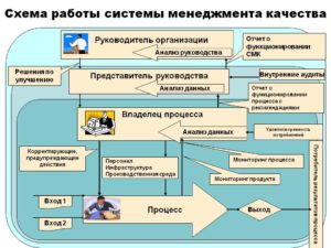 План аудита системы менеджмента качества, действующей в проверяемой организации (обязательная форма)