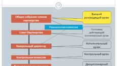 Устав некоммерческого партнерства (органы управления: общее собрание, директор, ревизионная комиссия)
