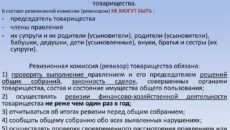 Типовое положение о ревизионной комиссии открытого акционерного общества