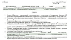 Решение единственного учредителя о создании учреждения
