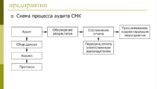 План аудита системы менеджмента качества, действующей в проверяемой организации (обязательная форма)
